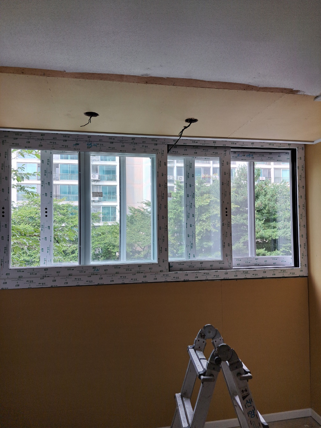 2000769928_tV6kd9TD_c3352b3722639dad2b8dcbf604983bd50bd1404d.jpg 이미지크게보기