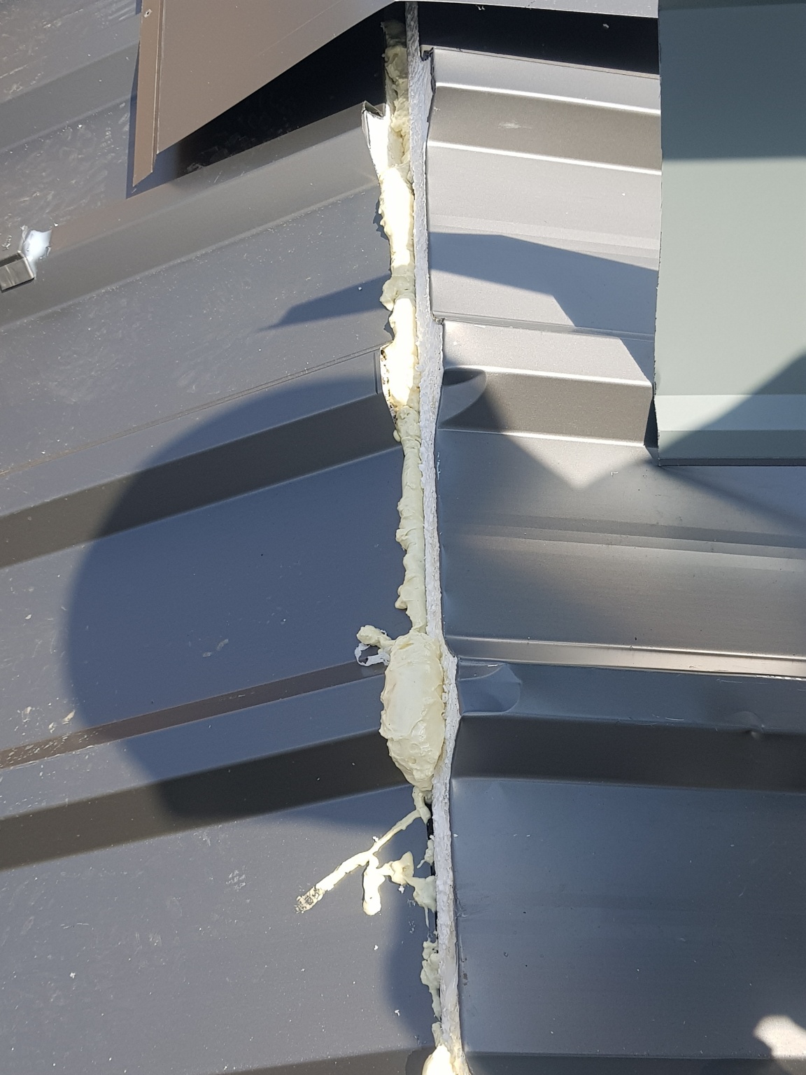 2000769928_x7jENLya_fda86f1019af0a45c66e09a429c0673461319073.jpg 이미지크게보기