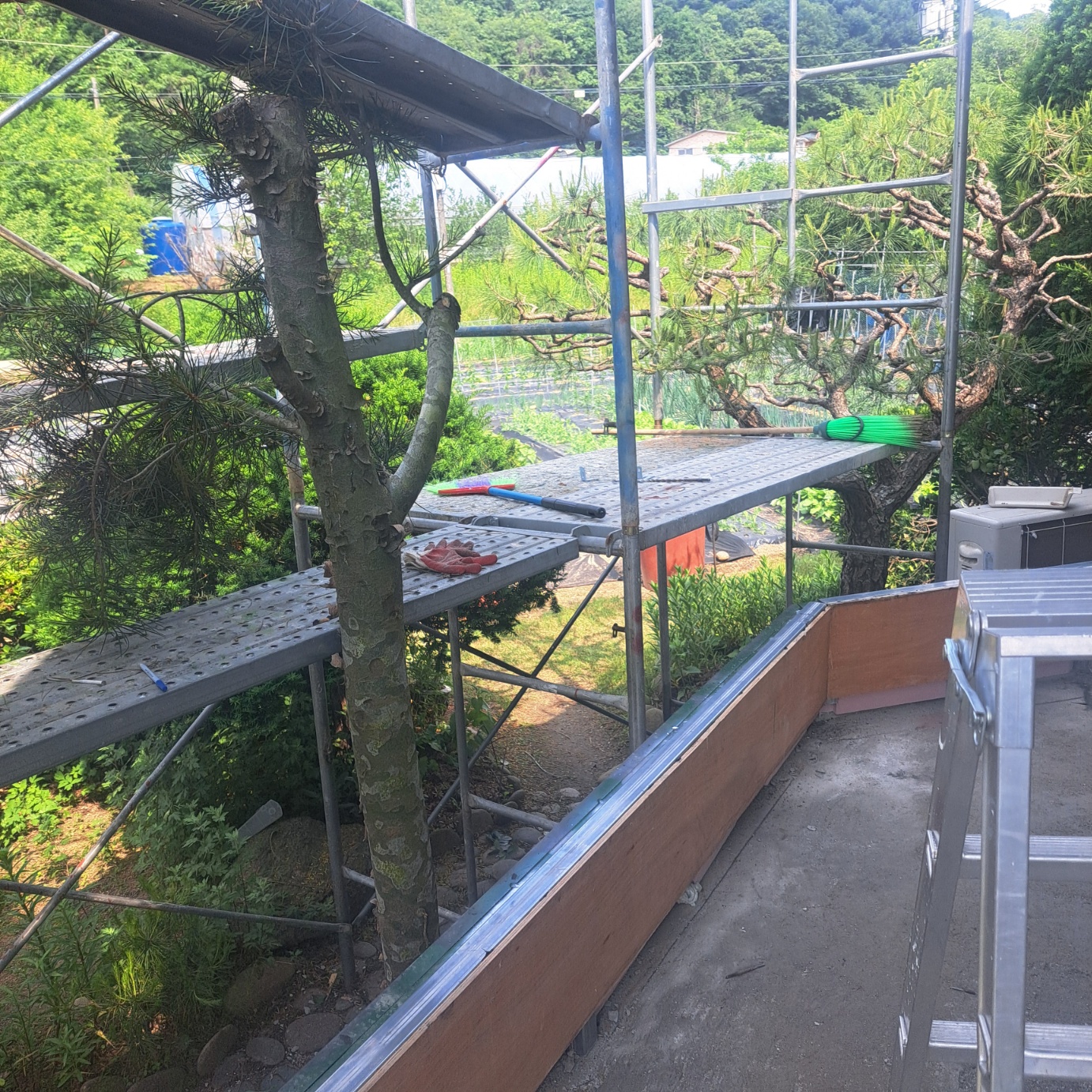 /user/k/kanghowindows/editor/2506/bde844f63eb38afef94641f065fea28d_1749468482_457.jpg 이미지크게보기